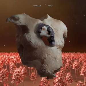 Soap&Skin - Torso in der Gruppe UNSERE TIPPS / Freitagsveröffentlichungen / Freitag der 22 November 2024 bei Bengans Skivbutik AB (5570942)