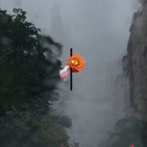 Rosenbaum August - Songs People Together (Clear Vinyl) in der Gruppe Övrigt /  bei Bengans Skivbutik AB (5571085)