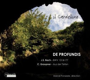 Il Gardellino - Bach: Cantatas Bwv 131 & 177 - Grau in der Gruppe CD / Klassiskt bei Bengans Skivbutik AB (5571465)