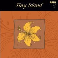 Tiny Island - Tiny Island in der Gruppe VINYL / Blues bei Bengans Skivbutik AB (5571951)
