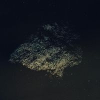 Multicast Dynamics - Lost World [Limited Indie Exclusive in der Gruppe VINYL / Pop-Rock bei Bengans Skivbutik AB (5572522)