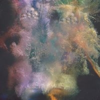 Humfree Bug Art - Hawaii / Mirrors in der Gruppe VINYL / Pop-Rock bei Bengans Skivbutik AB (5572565)