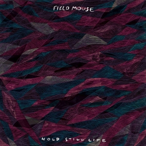 Field Mouse - Hold Still Life in der Gruppe Pop-Rock bei Bengans Skivbutik AB (5572643)