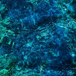 Aoba Ichiko - Luminescent Creatures in der Gruppe CD / Japansk Musik,Pop-Rock bei Bengans Skivbutik AB (5572830)