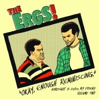 Ergs - Hindsight Is 20/20 My Friend Vol Tw in der Gruppe VINYL / Pop-Rock bei Bengans Skivbutik AB (5572874)