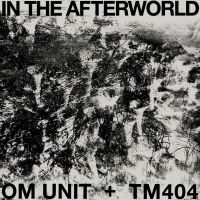 Om Unit + Tm404 - In The Afterworld in der Gruppe VINYL / Pop-Rock bei Bengans Skivbutik AB (5572938)