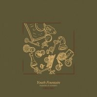 Youth Fountain - Keepsakes & Reminders in der Gruppe VINYL / Pop-Rock bei Bengans Skivbutik AB (5572975)