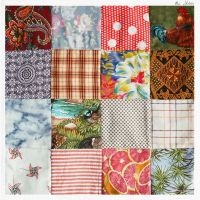 Shilohs - Shilohs in der Gruppe VINYL / Pop-Rock bei Bengans Skivbutik AB (5572976)