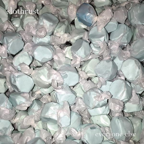 Slothrust - Everyone Else in der Gruppe VINYL / Pop-Rock bei Bengans Skivbutik AB (5572979)