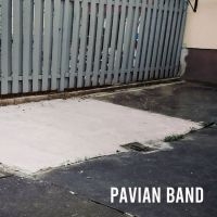 Pavian Band - Pavian Band in der Gruppe CD / Pop-Rock bei Bengans Skivbutik AB (5573076)