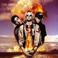 Nirvana - Live in der Gruppe CD bei Bengans Skivbutik AB (5573606)