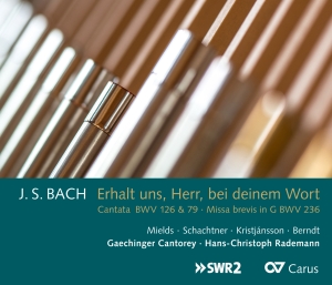 Johann Sebastian Bach - Johann Sebastian Bach - Erhalt Uns in der Gruppe CD / Klassiskt bei Bengans Skivbutik AB (5573771)