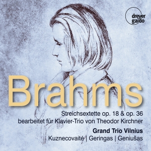 Grand Trio Vilnius - Johannes Brahms: String Sextets Opp in der Gruppe CD / Klassiskt bei Bengans Skivbutik AB (5573902)