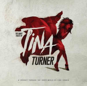 Various Artists - Many Faces Of Tina Turner The (2 Lp in der Gruppe VINYL / Pop-Rock bei Bengans Skivbutik AB (5574510)