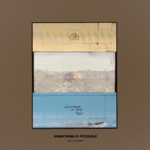 Peace Flag Ensemble - Everything Is Possible in der Gruppe CD bei Bengans Skivbutik AB (5574680)