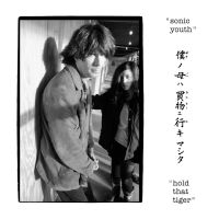 Sonic Youth - Hold That Tiger in der Gruppe VINYL / Pop-Rock bei Bengans Skivbutik AB (5574757)