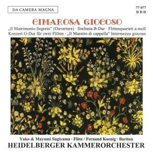 Cimarosa - Sinfonia/Concerto For 2 Flutes/Maes in der Gruppe CD bei Bengans Skivbutik AB (5574881)