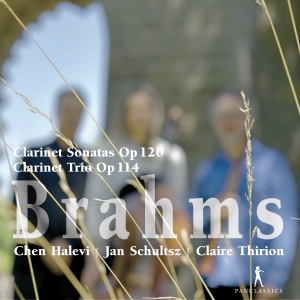 Brahms - Clarinet Sonatas Op. 120, Clarinet in der Gruppe CD / Klassiskt bei Bengans Skivbutik AB (5575021)