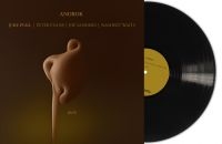 Anorok - Melt (Black Vinyl Lp) in der Gruppe VINYL / Jazz bei Bengans Skivbutik AB (5575549)