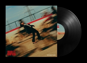 Simpson Bradley - The Panic Years in der Gruppe VINYL / Pop-Rock bei Bengans Skivbutik AB (5576195)