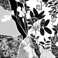 Ponctuation - Mon Herbier Du Monde Entier in der Gruppe VINYL / Pop-Rock bei Bengans Skivbutik AB (5576286)