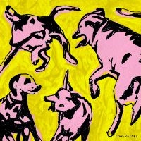 Jacobs Paul - Pink Dogs On The Green Grass in der Gruppe VINYL / Pop-Rock bei Bengans Skivbutik AB (5576327)