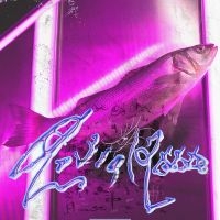 Virginie B - Astral 2000 (Clear Vinyl) in der Gruppe VINYL / Pop-Rock bei Bengans Skivbutik AB (5576366)