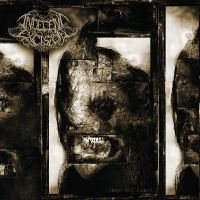 Indecent Excision - Into The Absurd in der Gruppe UNSERE TIPPS / Freitagsveröffentlichungen / 2025-01-17 bei Bengans Skivbutik AB (5576491)