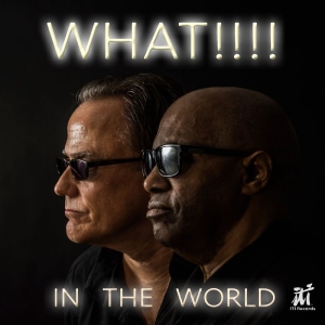 What!!!! - In The World in der Gruppe CD / Pop-Rock bei Bengans Skivbutik AB (5576511)