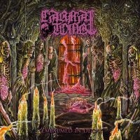 Carnal Tomb - Embalmed In Decay in der Gruppe CD bei Bengans Skivbutik AB (5576721)