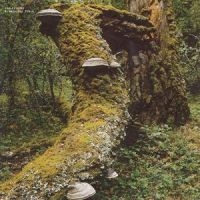 Jelinek Jan - Kosmischer Pitch (Reissue) in der Gruppe UNSERE TIPPS / Freitagsveröffentlichungen / 2025-01-17 bei Bengans Skivbutik AB (5576768)