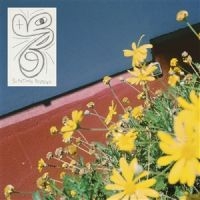 Laundromat Chicks - Sometimes Possessed in der Gruppe VINYL / Pop-Rock bei Bengans Skivbutik AB (5576774)