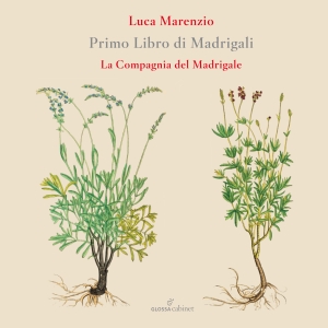 Luca Marenzio - First Book Of Madrigals (1580) in der Gruppe CD / Klassiskt bei Bengans Skivbutik AB (5577002)