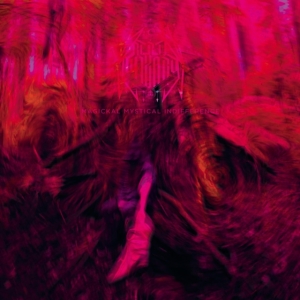 Rebel Wizard - Magickal Mystical Indifference in der Gruppe Övrigt /  bei Bengans Skivbutik AB (5577168)