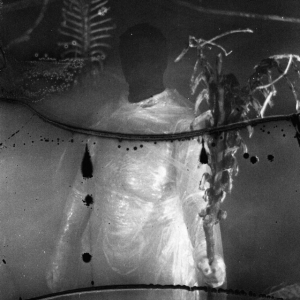 Vile Creature - Preservation Rituals (2015 - 2018) in der Gruppe Övrigt /  bei Bengans Skivbutik AB (5577169)