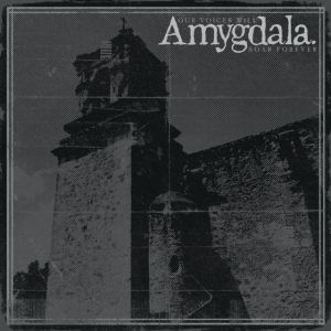 Amygdala - Our Voices Will Soar Forever in der Gruppe Övrigt /  bei Bengans Skivbutik AB (5577181)
