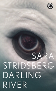 Sara Stridsberg - Darling River in der Gruppe Taschenbücher bei Bengans Skivbutik AB (5578231)