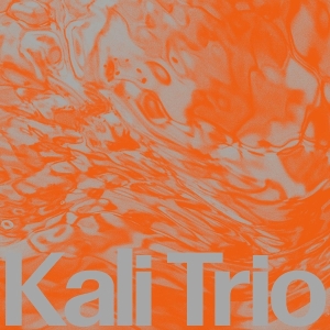 Kali Trio - The Playful Abstract in der Gruppe Övrigt /  bei Bengans Skivbutik AB (5578378)