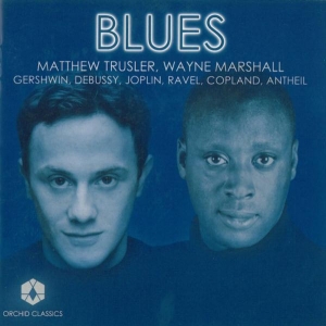 Matthewl Trusler - Blues in der Gruppe Externt_Lager / Naxoslager bei Bengans Skivbutik AB (557896)