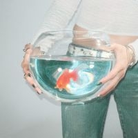 Fish Narc - Frog Song in der Gruppe UNSERE TIPPS / Freitagsveröffentlichungen / 2025-02-14 bei Bengans Skivbutik AB (5578977)