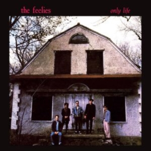 Feelies The - Only Life in der Gruppe VINYL / Pop-Rock bei Bengans Skivbutik AB (5579030)
