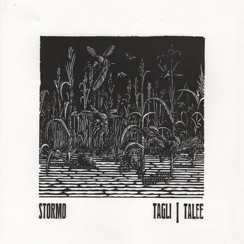 Stormo - Tagli/Talee in der Gruppe Övrigt /  bei Bengans Skivbutik AB (5579086)