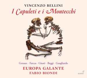 Vincenzo Bellini - I Capuleti E I Montecchi in der Gruppe CD bei Bengans Skivbutik AB (5579307)
