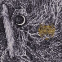 Woods Of Desolation - Sorh (Grey Vinyl Lp) in der Gruppe VINYL / Hårdrock bei Bengans Skivbutik AB (5579385)