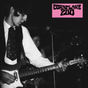 Cornflake Zoo - Knights Of Fuzz in der Gruppe UNSERE TIPPS / Startsida - Vinyl Nyheter & Kommande bei Bengans Skivbutik AB (5579995)