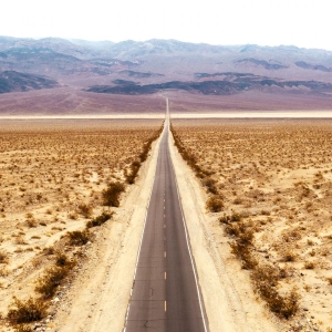 Tuomo & Markus And Verneri Pohjola - Music For Roads in der Gruppe CD / Finsk Musik,Jazz bei Bengans Skivbutik AB (5580302)