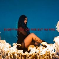 As December Falls - Everything's On Fire But I'm Fine in der Gruppe VINYL / Pop-Rock bei Bengans Skivbutik AB (5580573)