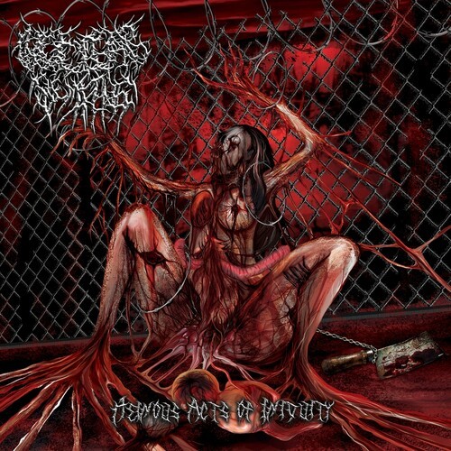 Nuclear Remains - Heinous Acts Of Iniquity in der Gruppe CD / Hårdrock bei Bengans Skivbutik AB (5580783)