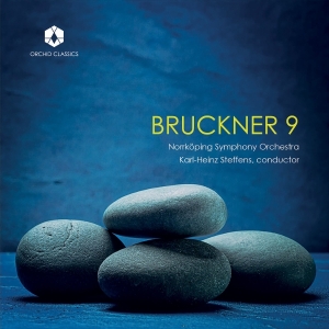 Norrkoping Symphony Orchestra - Bruckner 9 in der Gruppe CD bei Bengans Skivbutik AB (5581599)