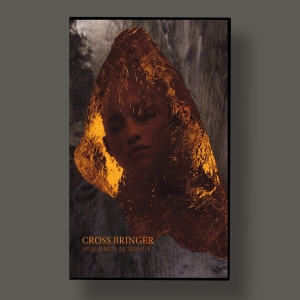 Cross Bringer - Healismus Aeternus in der Gruppe Övrigt /  bei Bengans Skivbutik AB (5581987)